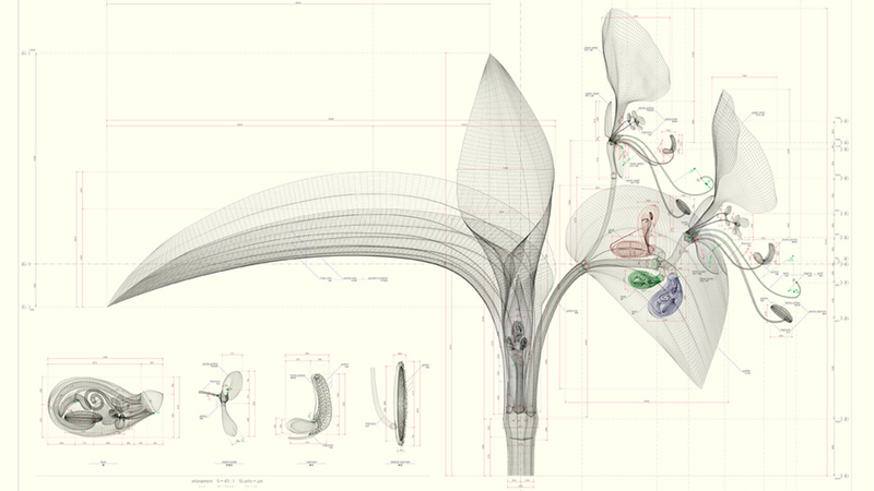 Illustration for article titled Most Beautiful Items: May 11 - May 17, 2013